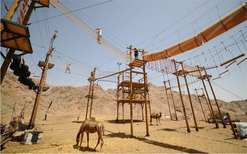 פארק חבלים – חוות הגמלים